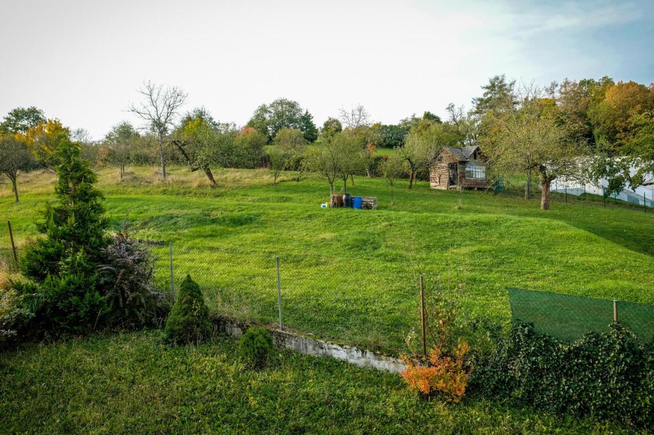 Vila Alice Лугачовице Экстерьер фото