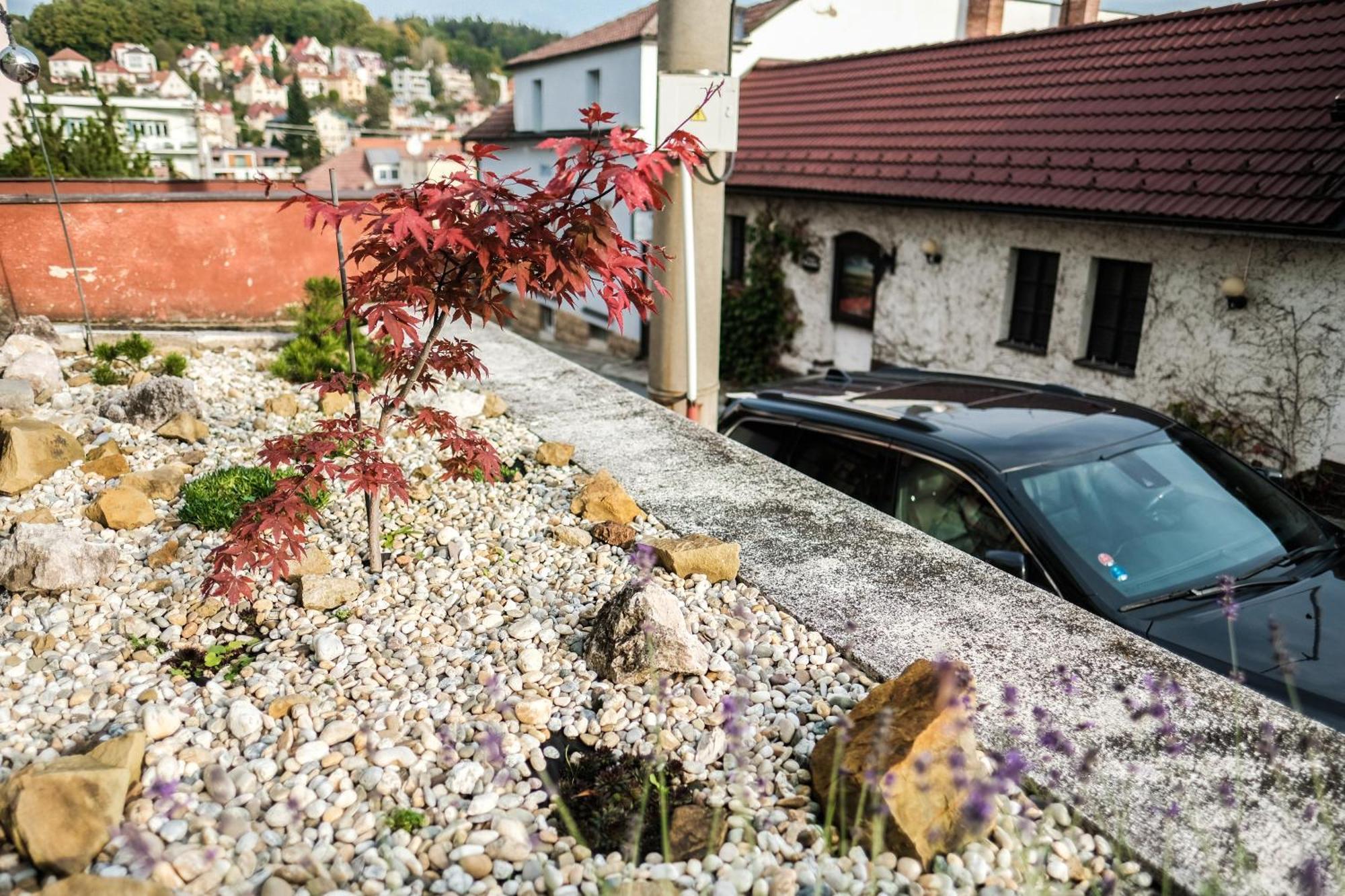 Vila Alice Лугачовице Номер фото